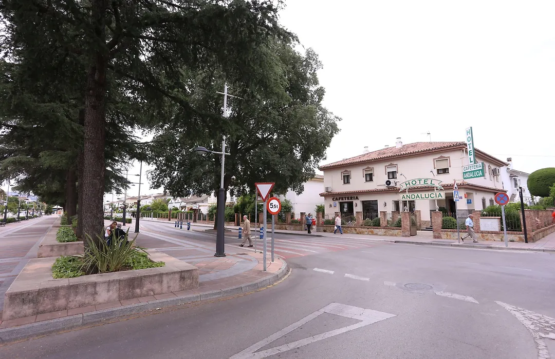 Hotel Andalucia-1